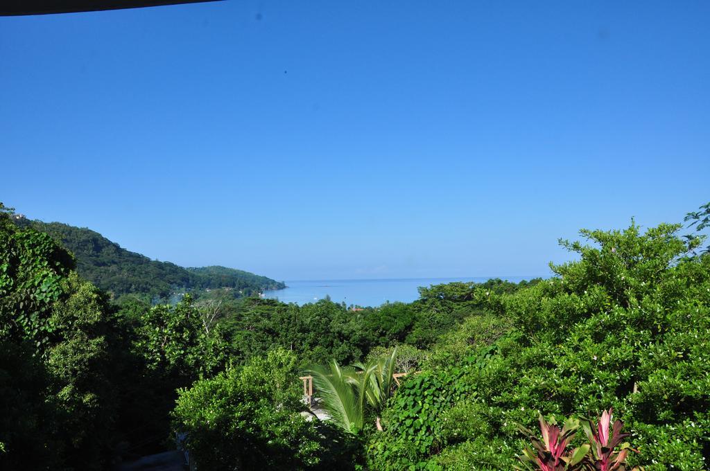 Cella Villa Anse a La Mouche Rum bild