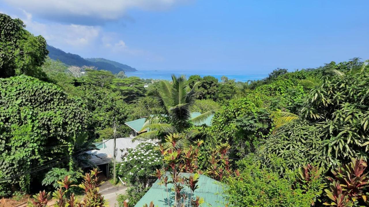 Cella Villa Anse a La Mouche Exteriör bild